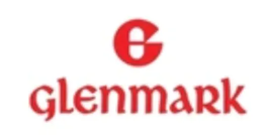Partner 6